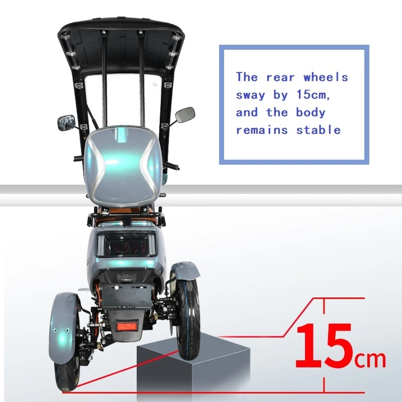 China&prime;s Best-Selling Adult Goods Electric Trike 48V60V Motorcycle