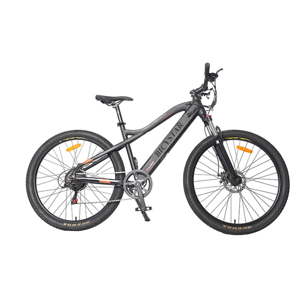 Electric Bike Disc Brakes/Electric Bike Ebike E-Bicycle Electric Bicycle