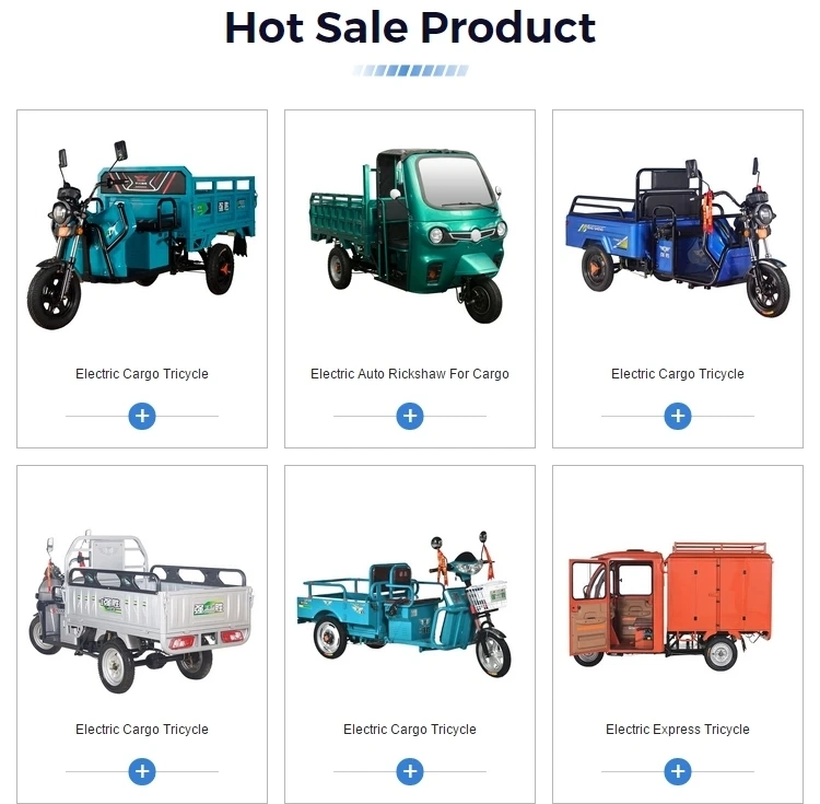 Easy Style Motorized Cargo Electric Tricycle, Delivery Electric Tricycle
