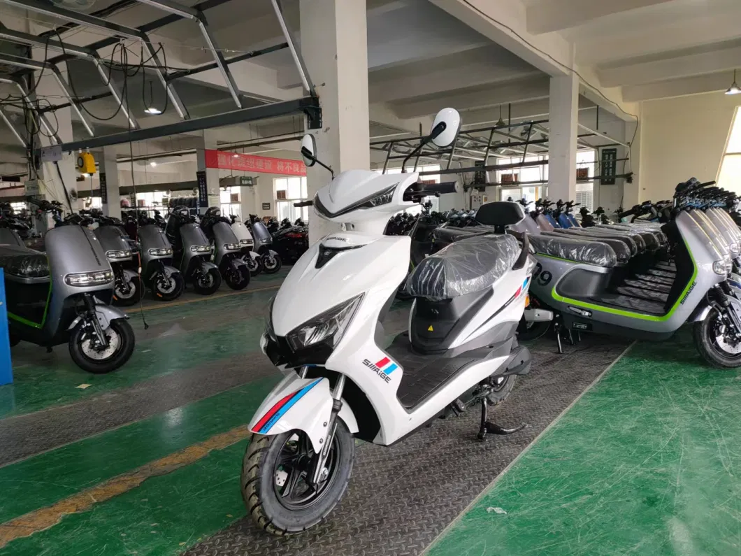 2 Wheels Electric Mobility Scooter Electric Motorcycle E Bike for Adults