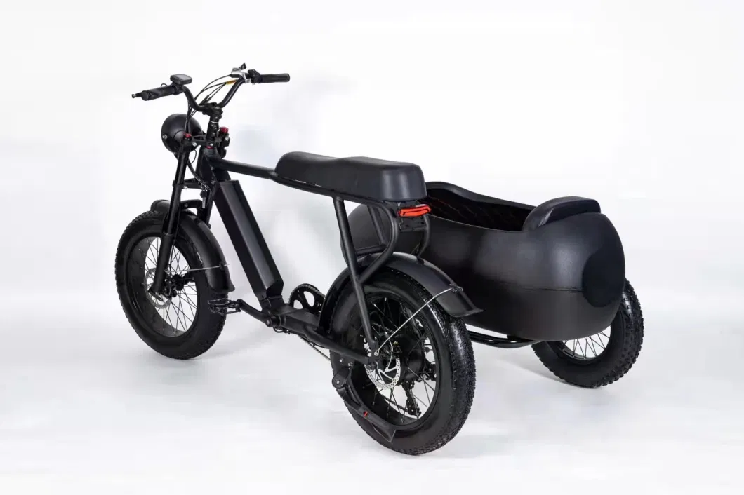 Extender Tricycle Battery Shaft Drive Chainless Electric Bike with Sidecar Motorized Tricycles Adults for Sale