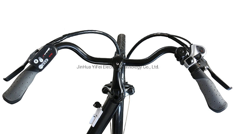 Made in China Urban Bicycle Smart PAS System E-Bike Electric Bike (TDF05Z)