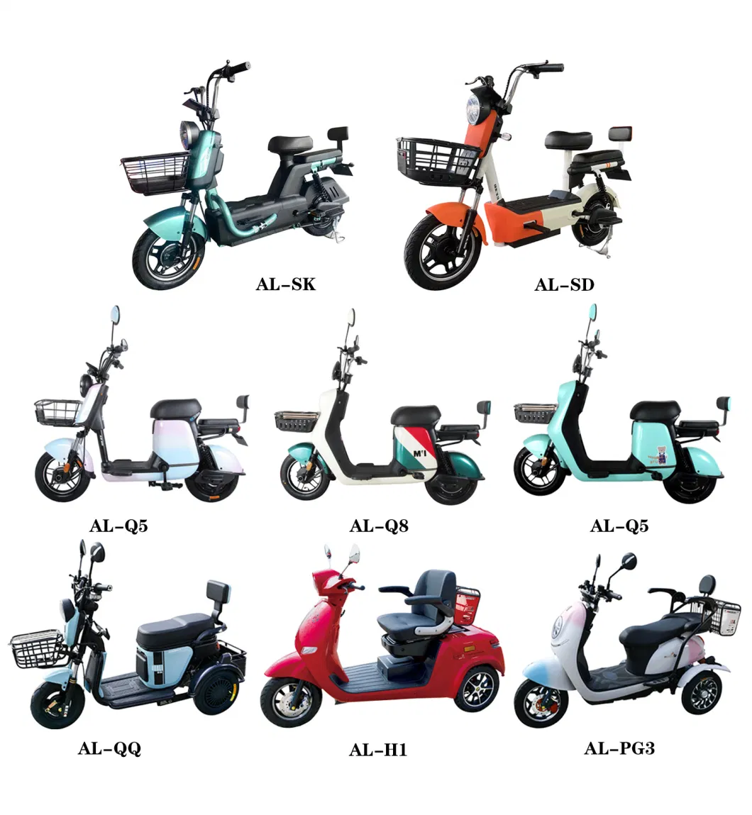 China Electric Bike Best Quality Electric Motorbike for Adult