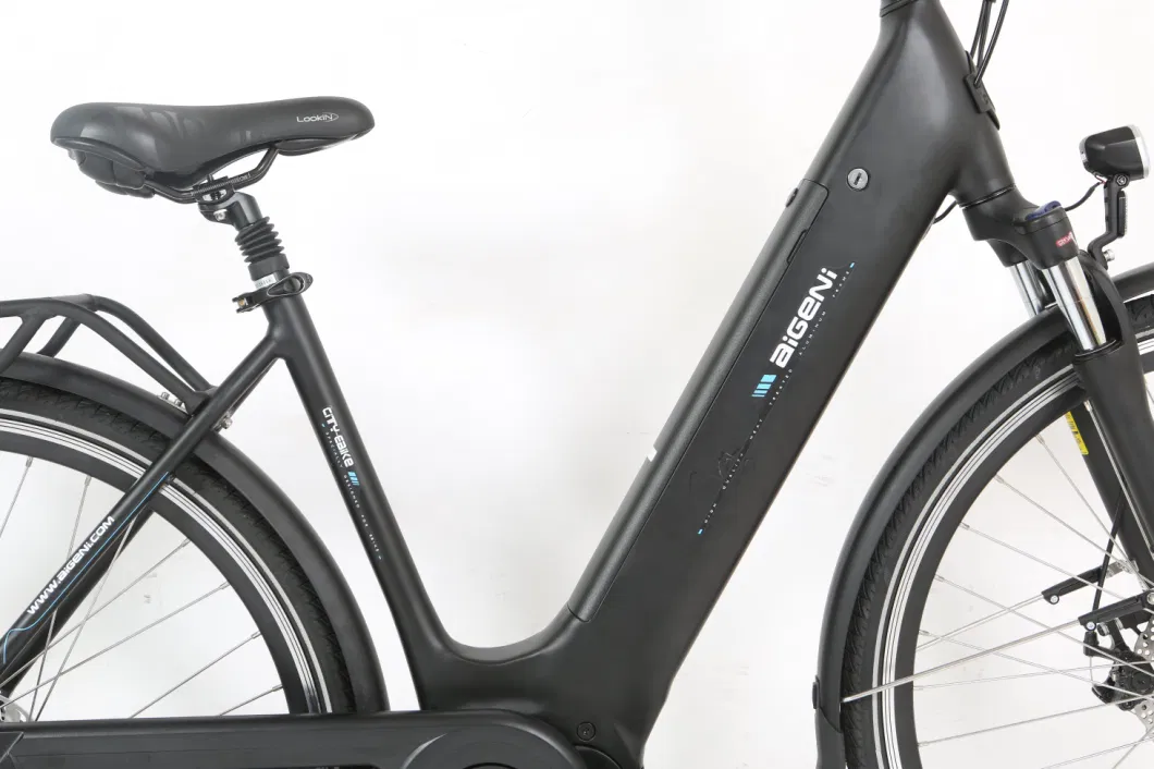 China Made Black Electric Bicycle 250W City Bicycle