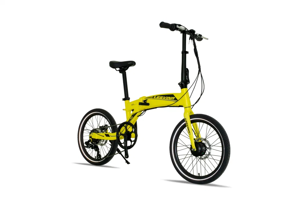 36V 250W 20inch Foldable Ebike Mini Folding Electric Bike