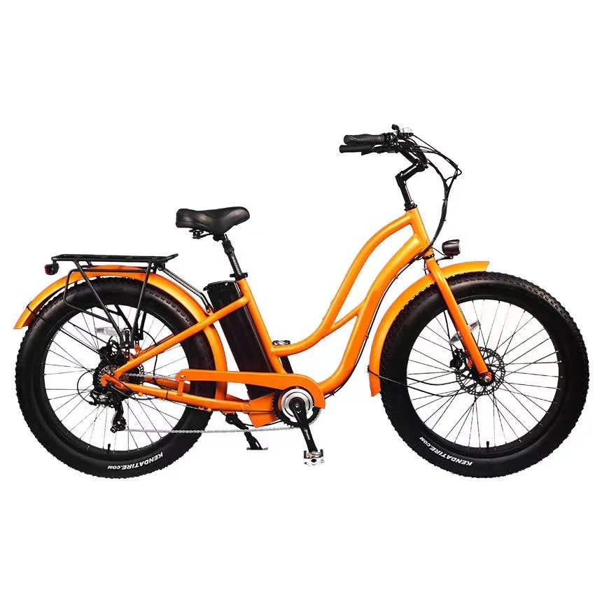 Stealth Bomber Electric Bike/Folding Electric Bike 48V 750W