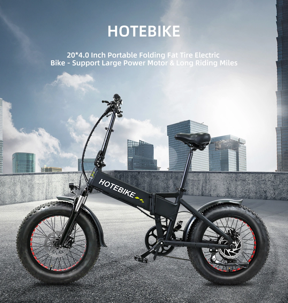 E Dirt Bike 20 Inch 350W 500W Ebike 750W Moped Electric Bike Motor Motorcycle Electric Scooter Ebike 1000W