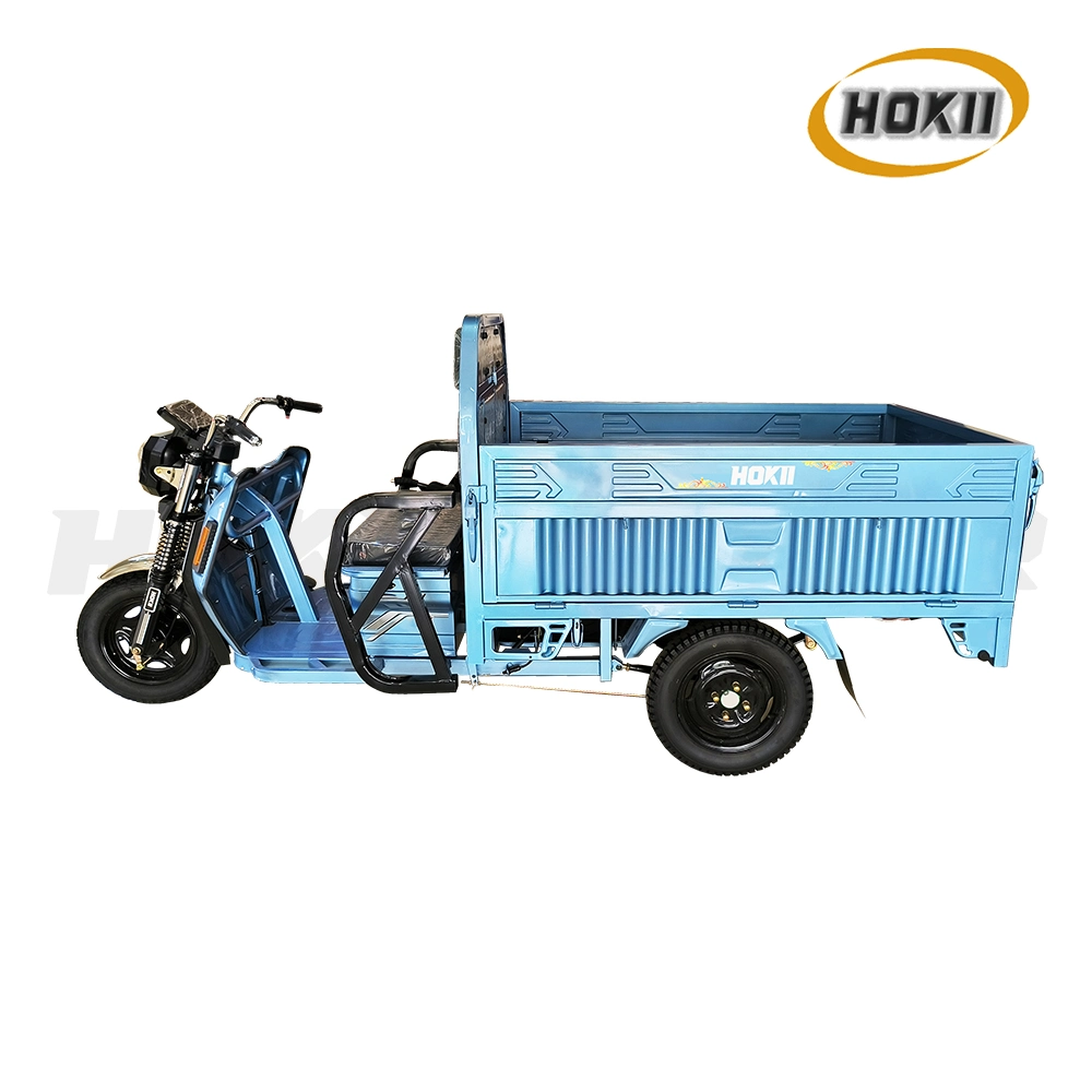 China Triciclo Manufacturer Produced New Design 1200W Motor Adult Use Electric Cargo Tricycle 3 Wheel for Sale