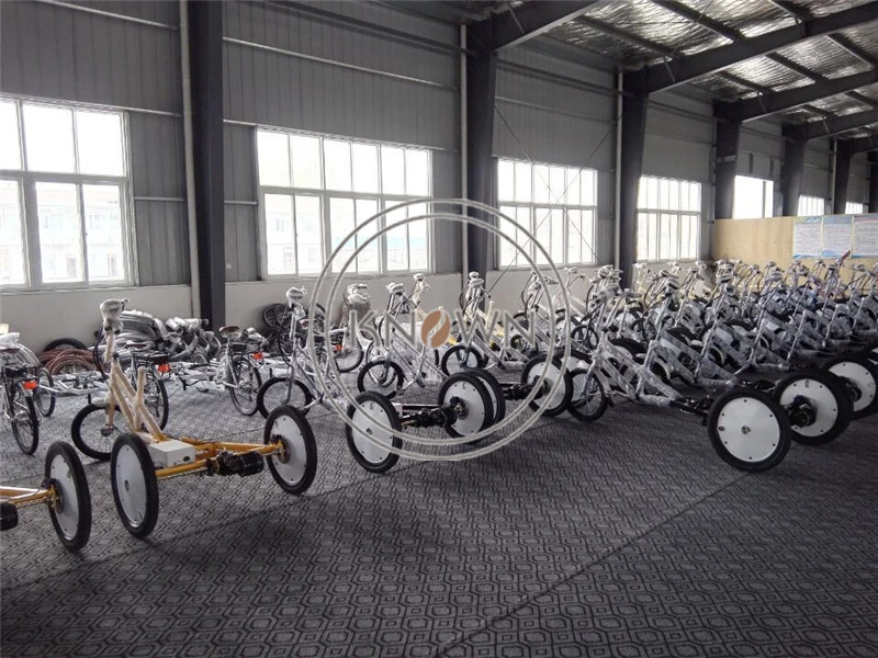 3 Wheels Electric Flatbed Trike Bike Used for Cargo Transportation