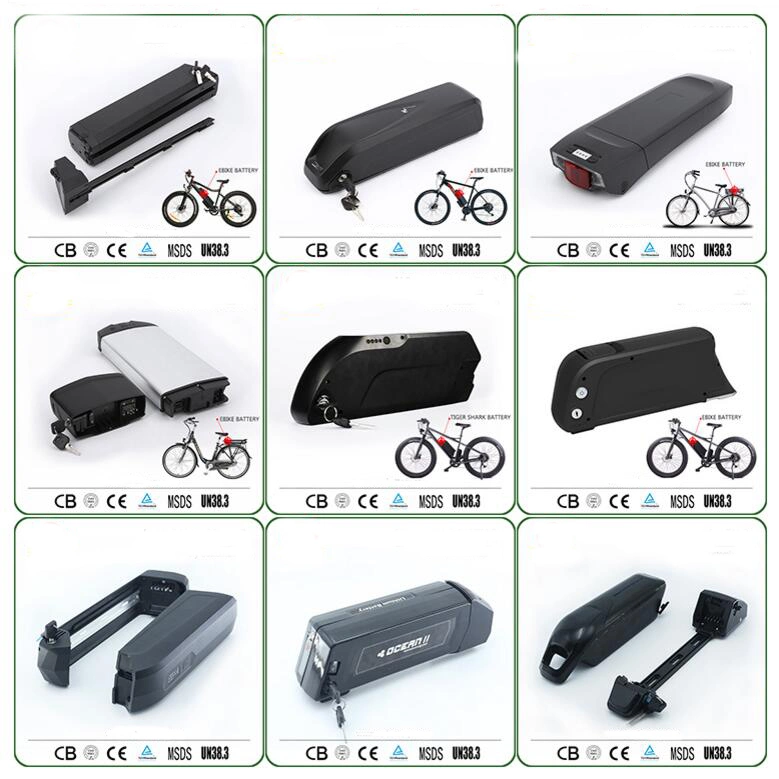 Electric Bike Battery 36V 8ah Lithium Battery with Ce