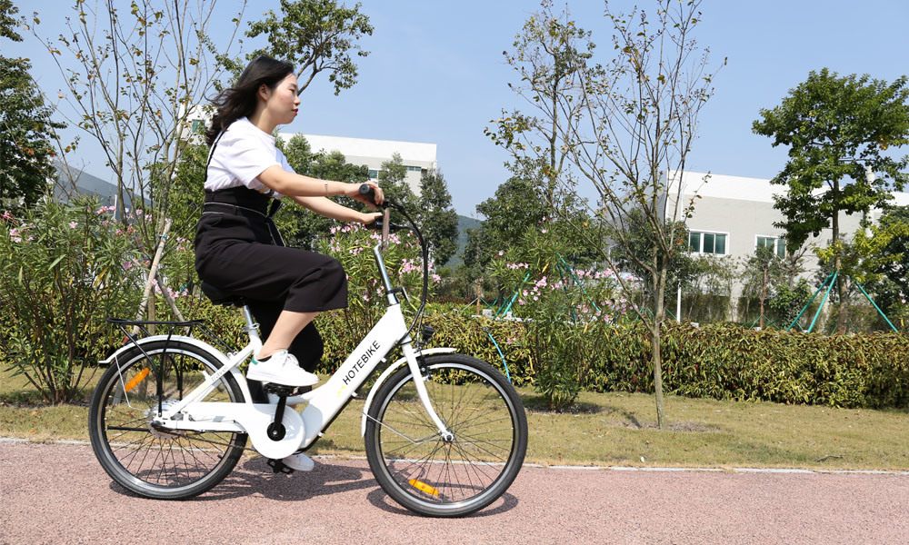 700*40c 251-350W Shuagnye or Hotebike OEM China Electric Bike Ebike