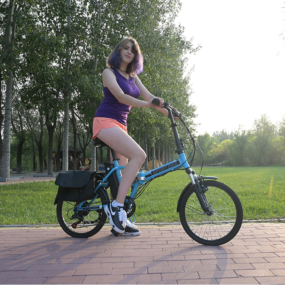 Electric Cycle Bike Folding/Electric Bike 20 Inch Folding E Bike 48V500W Elect
