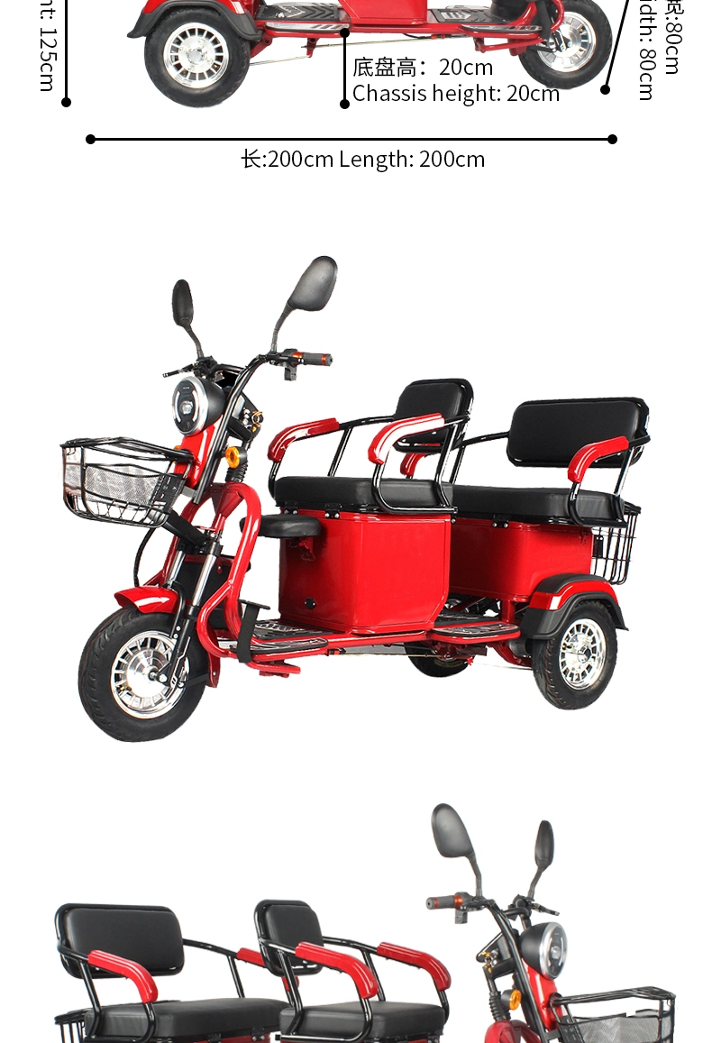 Powerful 3 Wheel Electric Trike for Adults