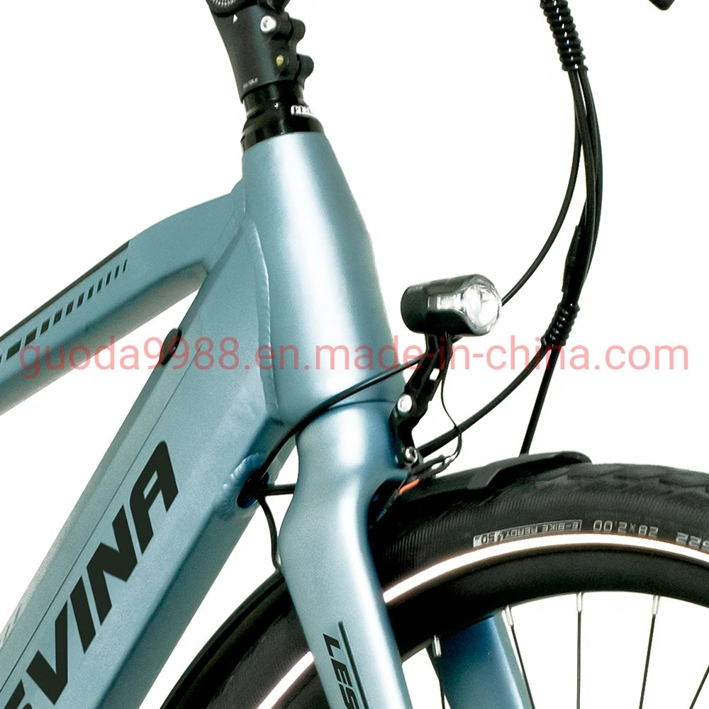 Customized Electric Bicycle Quality Ebike for Man and Woman