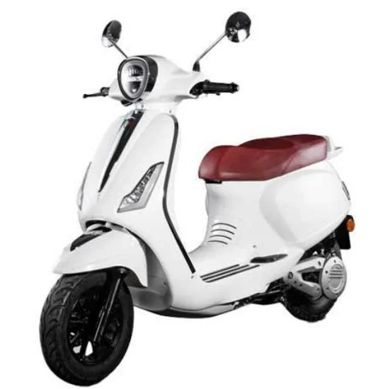 3000W China Electric Bicycle with 40ah Lithium Batteries and The Max Range of 80km for Adults