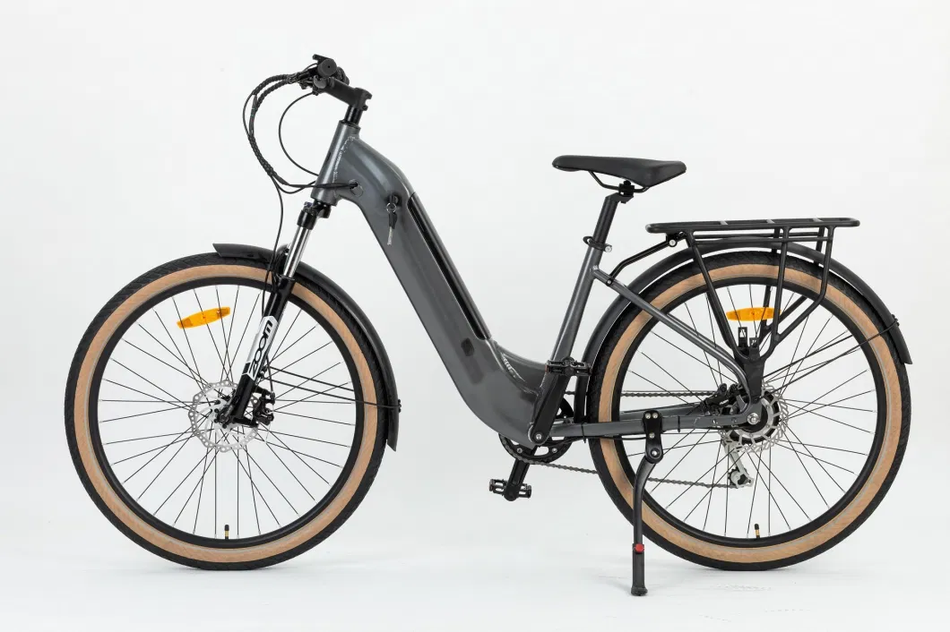 750W Hot Selling Ebike Electric Cycles Electric Bicycle City Bike