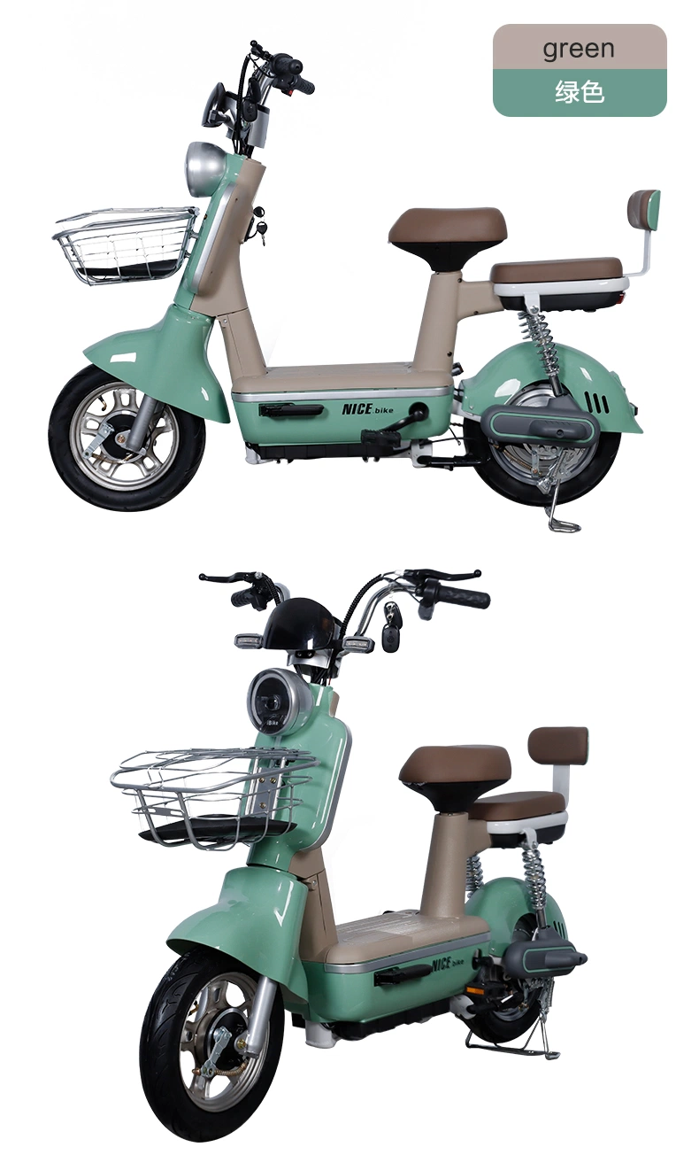 48V20ah Electric Scooter Electric Bicycle Electric Moped