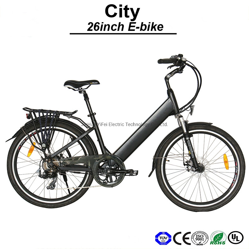 Made in China Urban Bicycle Smart PAS System E-Bike Electric Bike (TDF05Z)