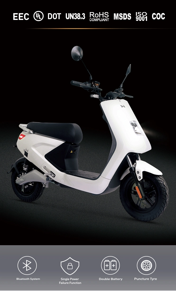 E-Scooter 1440 Watt Electric Scooter Motorcycle with Lithium Battery
