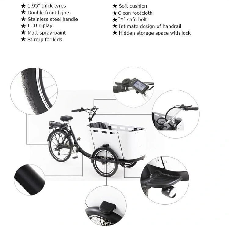 3 Wheels Electric and Pedal Type Cargo Bicycle for Kids