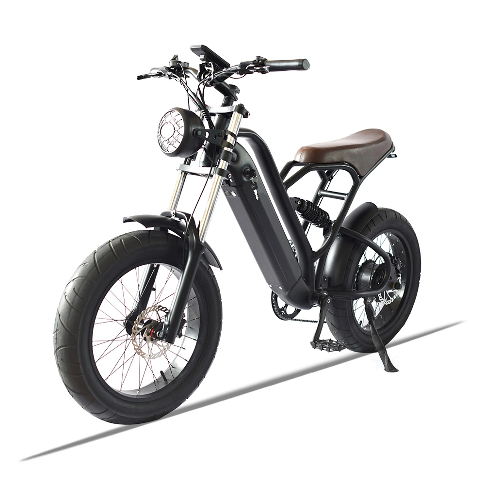 Al 750W 48V Electric Bike Dual Crown Retro Bicycle Motorcycle