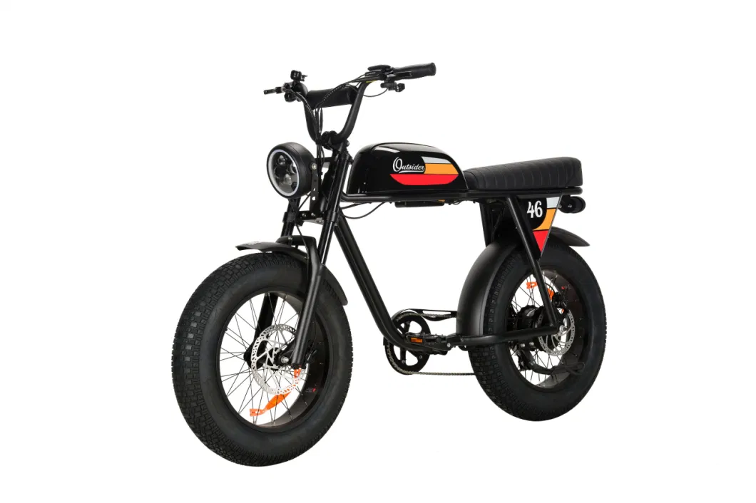 MTB Electric Bike motorcycle Pedalec Bike Motorized 750W 48V Dual Battery Ebike