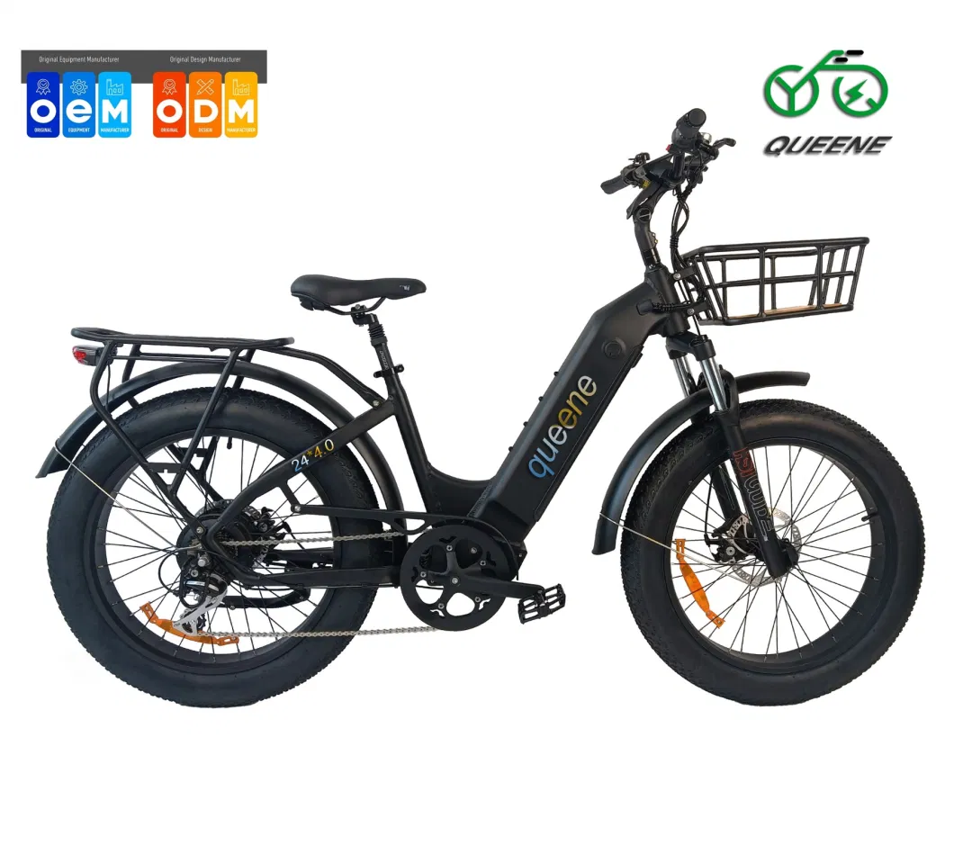 Queene/Full Suspension Motorized Electric City Bike Adult E Electric Road Sports Bikes Bicycle