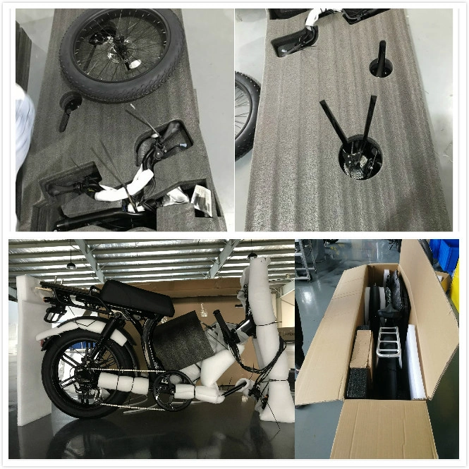 2021 New Design Step Through Fat Tire Electric Bike 5% Discount