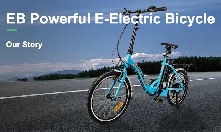48V 13ah Lithium Battery 7-Speed Electric Bike for Adult