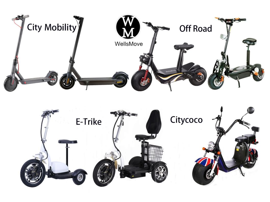 EL Mejor E-Scooter Adulto Plegable Rapido De 10 Pulgadas 500W Scooter De DOS Ruedas