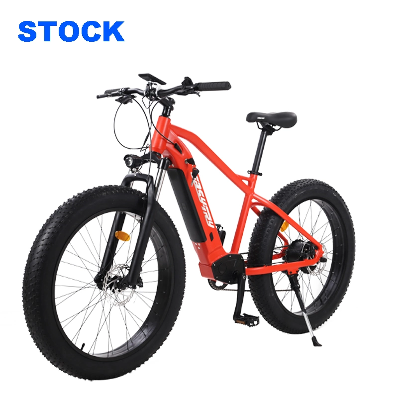 Easy-Try Custom Cheaper Bicycle 500W Electric Cycle Hidden Battery MTB Ebike