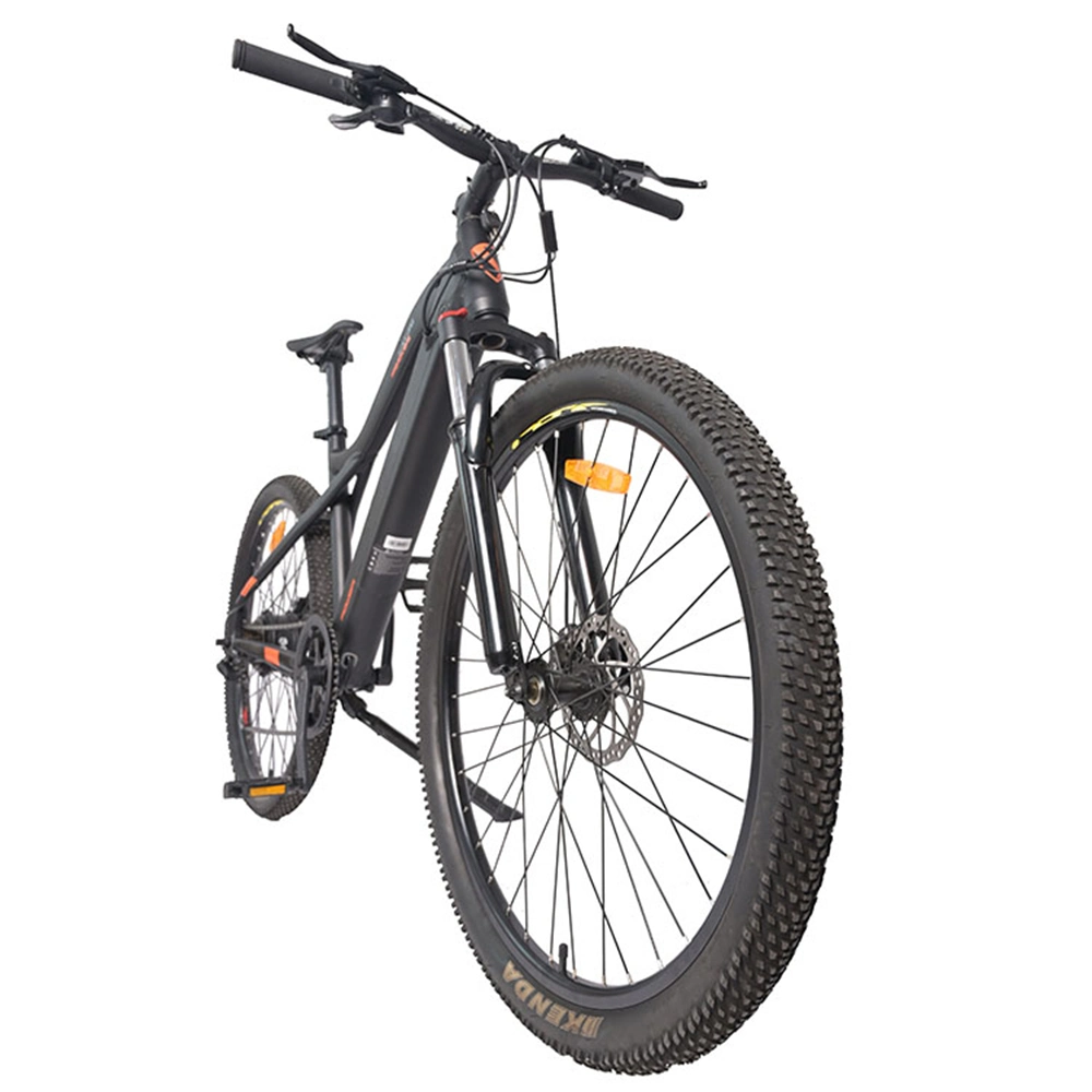 Electric Bike Disc Brakes/Electric Bike Ebike E-Bicycle Electric Bicycle