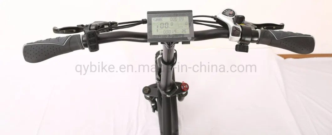 Queene 20 Inch Electric Mini Dirt Bike, Folding/Foldable Enduro Electrical E Bike Electronic City Mountain Road Bicycle