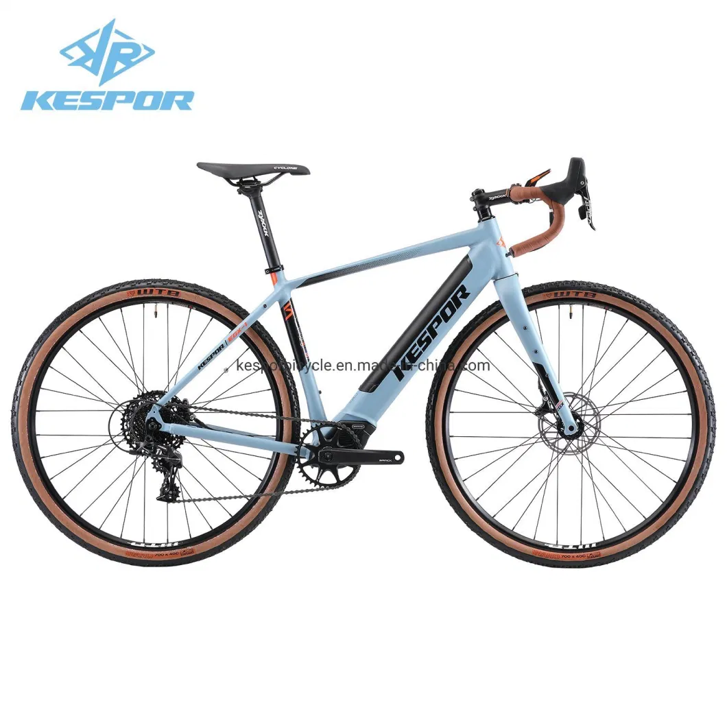 700c 11 Speed Carbon Fork Road Electric Bike with 36V 250W Motor E Bike