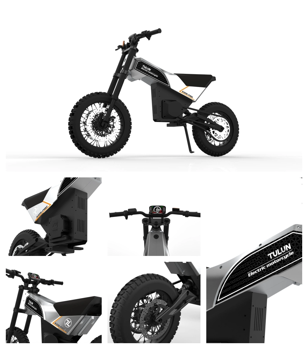 Non Welded Frame Transformable Electrical Motorcycle Electric Dirt Bike 1000W 48V20ah off-Road for Kids Electric Cycle