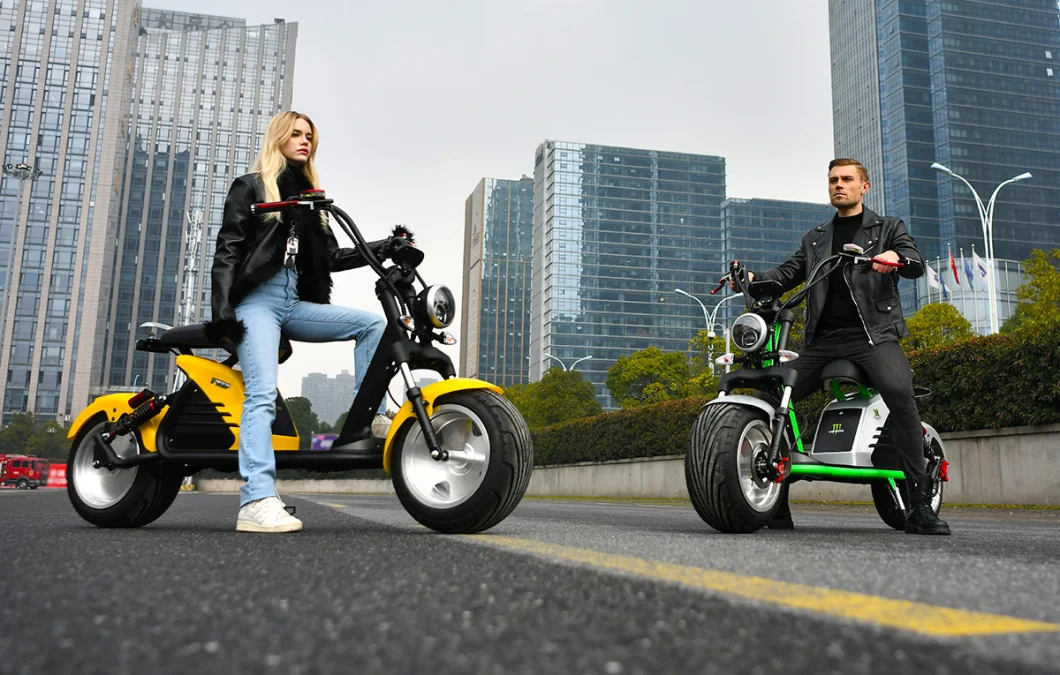 2000W/3000W 10inch/12inch Electric Citycoco Adult New Electric Scooter Motorcycle EEC