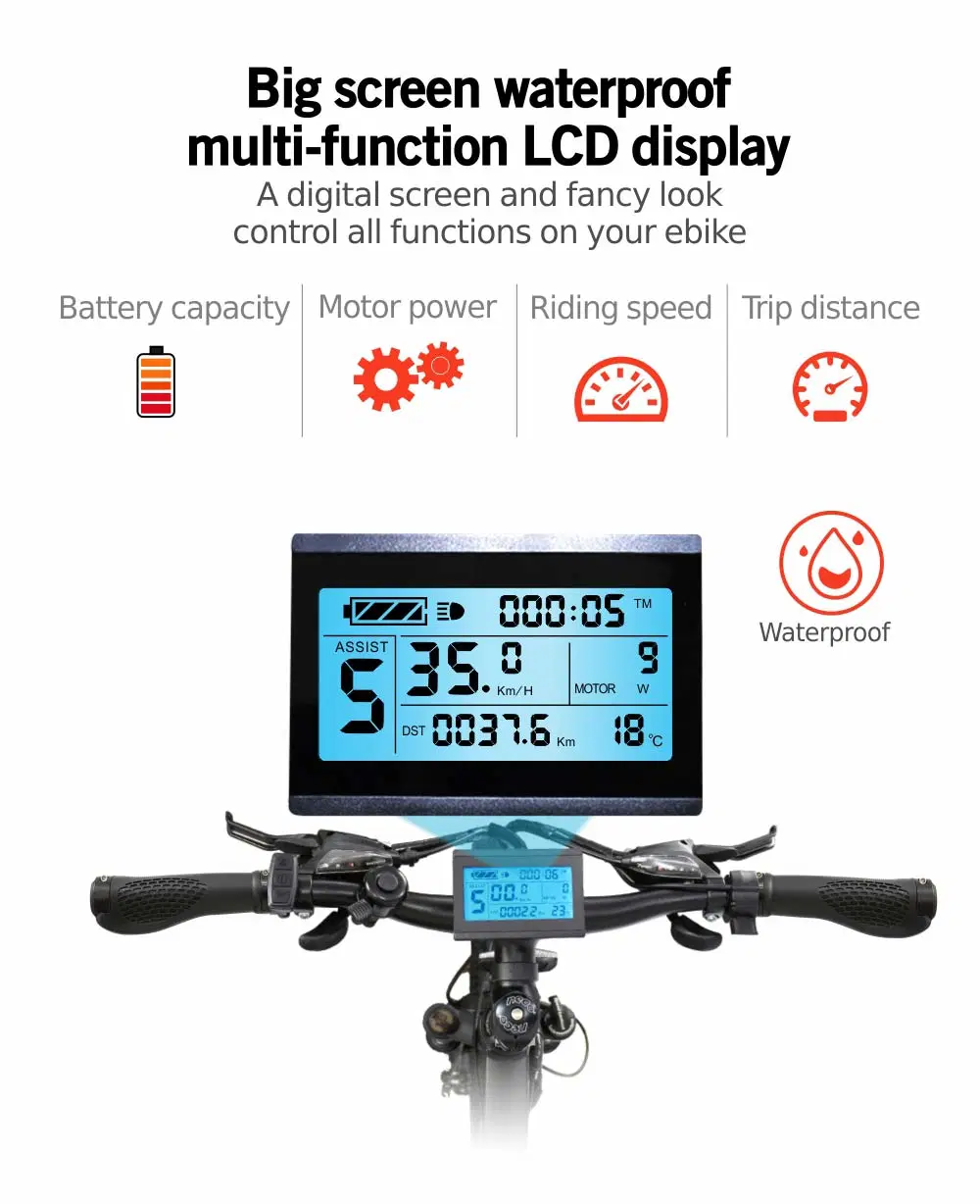 Wholesale Multifunctional Electric Bicycle 36V 25W Mountain Bike 26inch