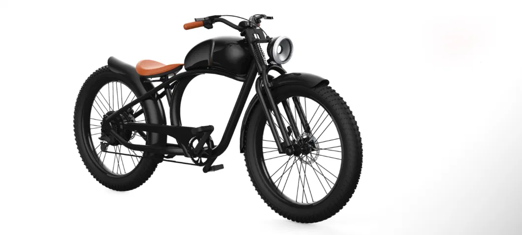 40~60km/H Unfolded Fat Tire Electric Bicycle with 48V Lithium Battery