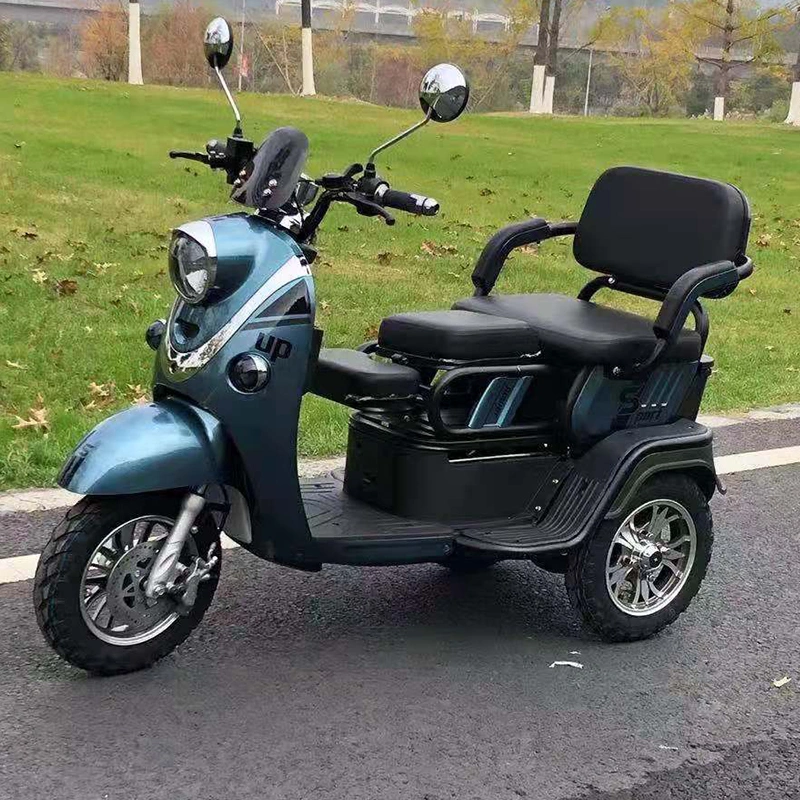 1000W 60V Electric Motorcycle Tricycle for Elder Person