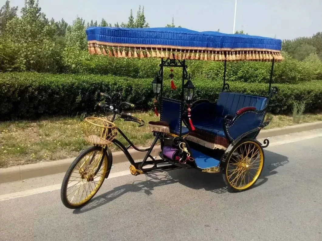 Three Wheel Motorized Tricycles Electric Rickshaw Pedicab