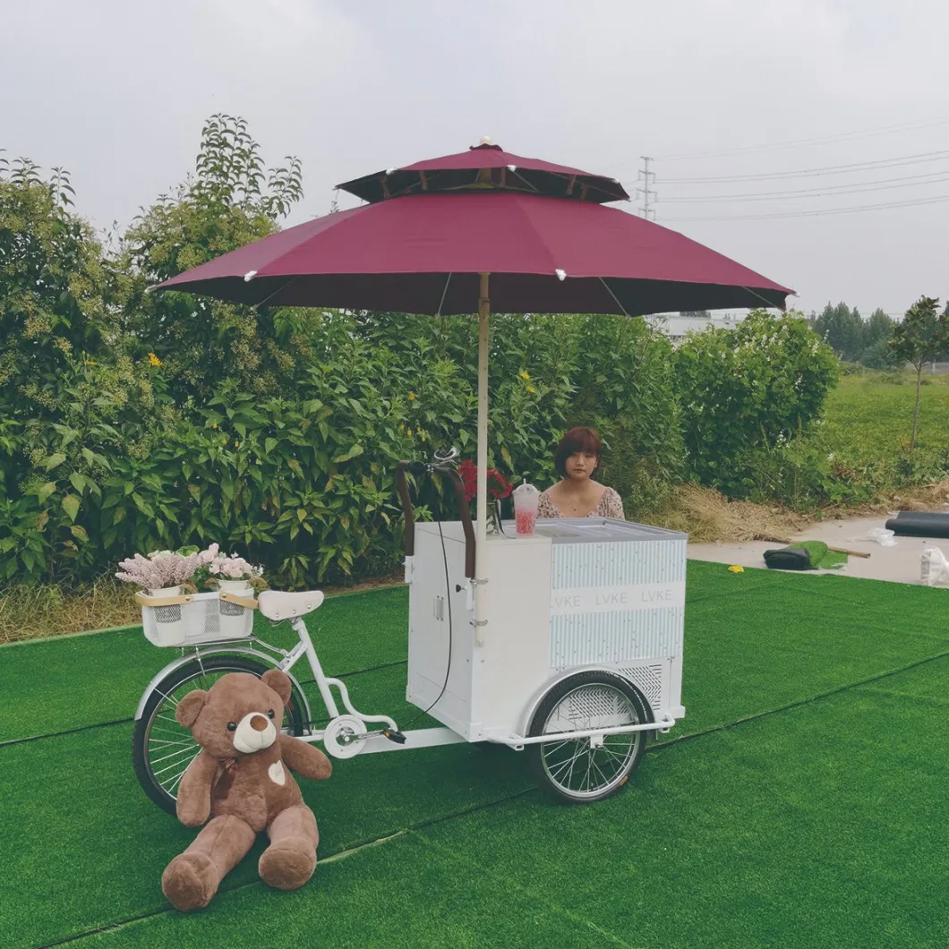 OEM CE Approved 3 Wheel Cargo Bike with Freezer Food Vending Carts for Sale Ice Cream Electric Tricycle