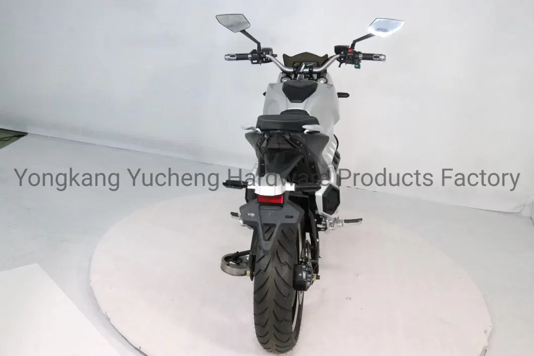 China Electrical Motorcycle for Men Sport Electric Motorcycle