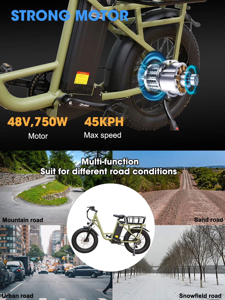 750W Adults Bicycle 20inch Fat Tire Electric Bike for Mountain Snow