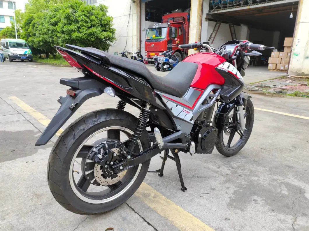 Saige Electric High Speed Motorcycle with 3000W5000W 120km+ Km/H