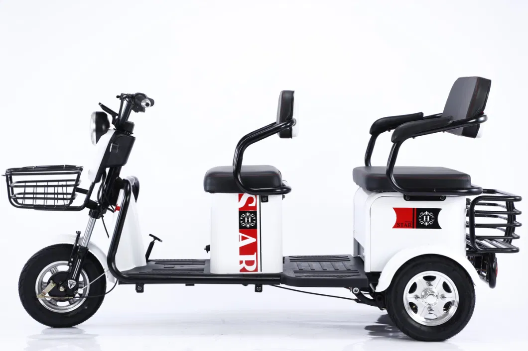 Passenger Adult Electric 3 Wheel Bicycle Three Electric Scooter
