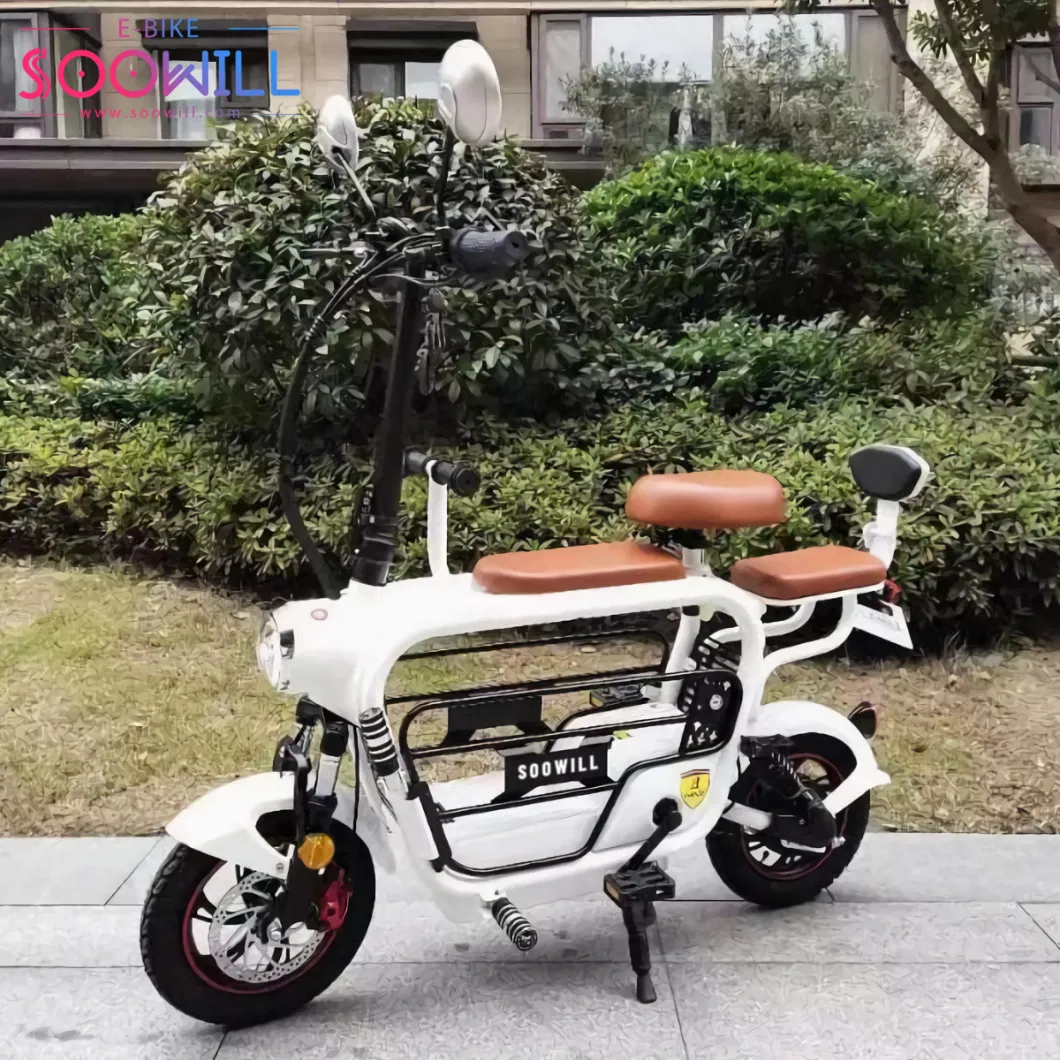 Hot Sale Pet Carrier E-Bike 48V 12ah Lithium Battery Cargo Electric Scooter