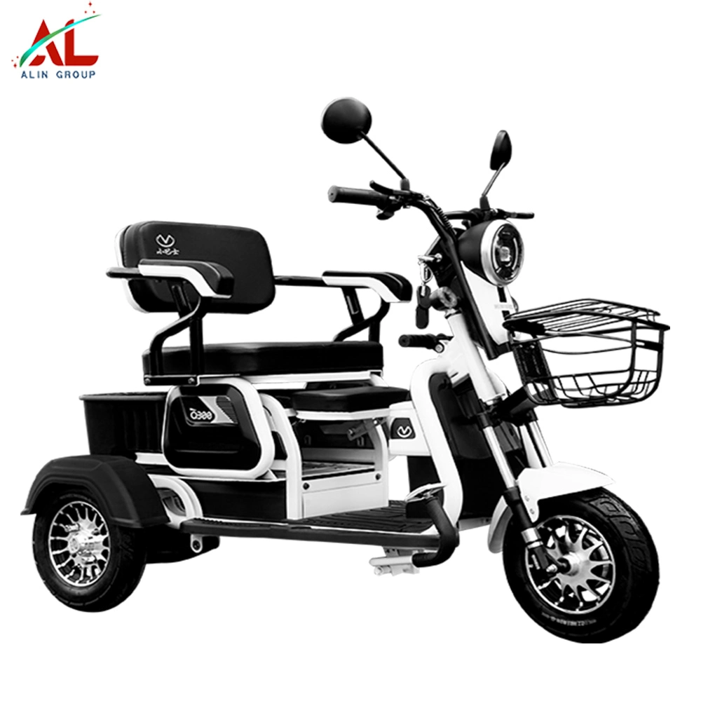 Al-Q100 Alin Three Wheel Electric Tricycle Scooter Bicycle
