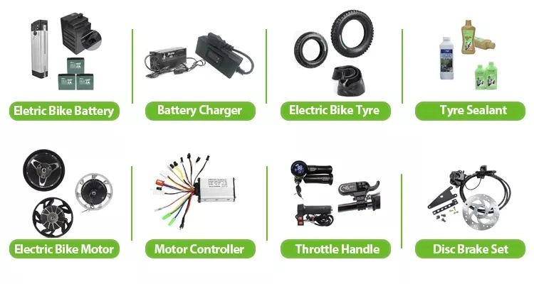 EEC Certificate Fashion Convenience High Speed Electric Scooters Electric Cycle