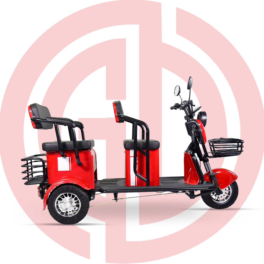 Cheap 3 Wheel Motorized 650W Electric Tricycle