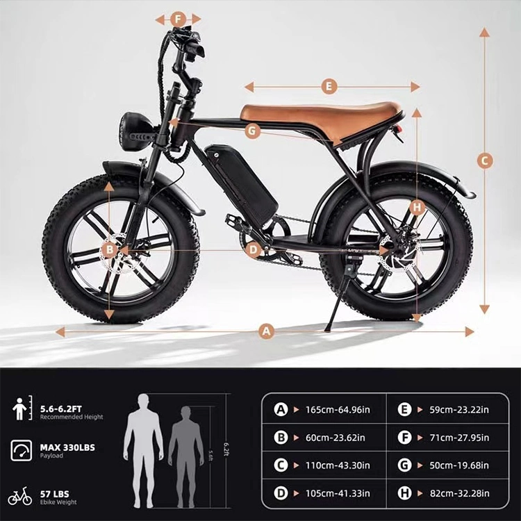 Full Suspension Motorized Electric City Bike Adult E Electric Road Sports Bikes Bicycle